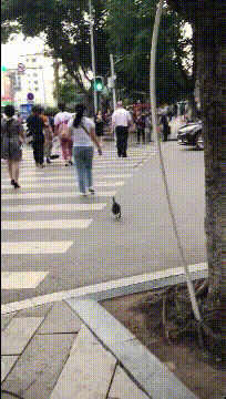 【蜗牛棋牌】晨练路上,小姐姐要不要结个伴?