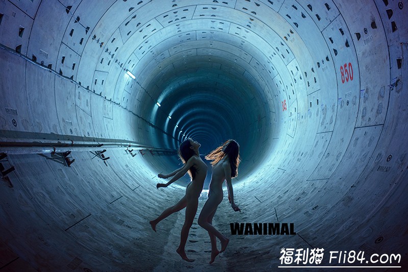 如何评价人体艺术摄影师“王动WANIMAL”的作品？