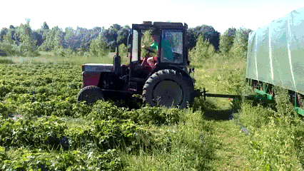 【蜗牛棋牌】场面一度非常尴尬。。。都怪那群小姐姐太漂亮