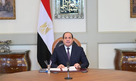 埃及总统塞西:非洲国家应加强司法合作 共同应对挑战
