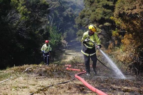 新西兰奥克兰附近发生丛林火灾
