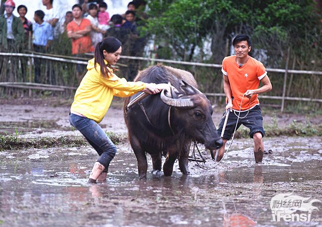 谢霆锋：喜欢农村的亲切感 享受脚踏实地的朴素