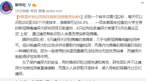 泰国将尝试用狗筛查新冠病毒感染者
