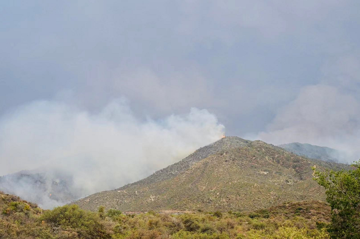 【蜗牛棋牌】美国全国机构间消防中心宣布提高全国戒备等级至4级