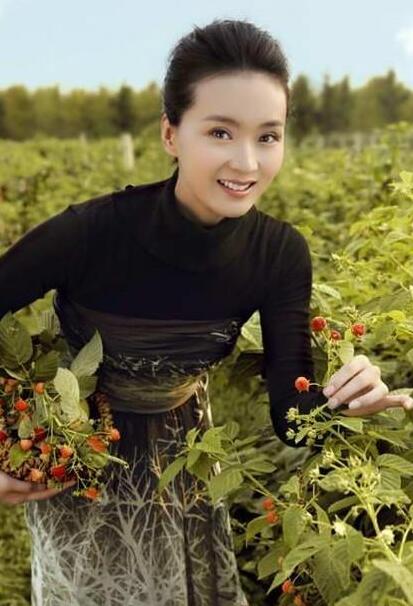 【蜗牛棋牌】王艳 “品牌中国”十大杰出女性颁奖盛典品牌中国公益女性奖女星美照分享及个人资料