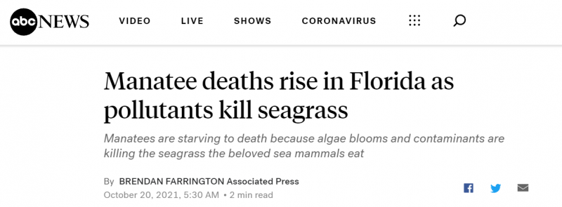 美媒：污染物等致海草难以生存 佛州数百只海牛饿死