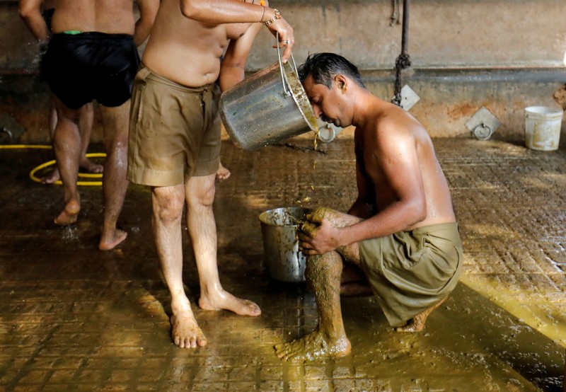 【蜗牛棋牌】印度官员称牛粪能提振经济 引发网友群嘲