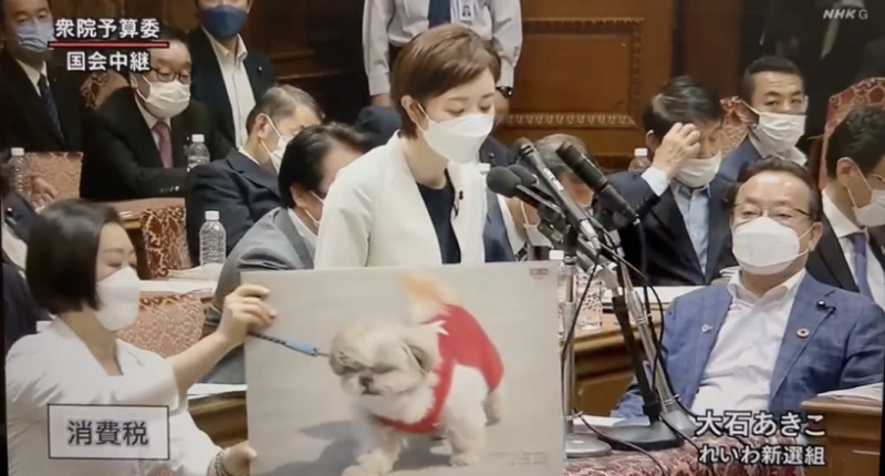 冲上热搜！日议员在国会上指责岸田是“资本家的狗”