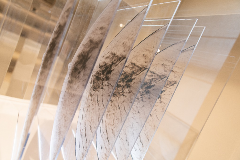 【蜗牛棋牌】每26秒就有一人确诊乳腺癌,如何对抗?