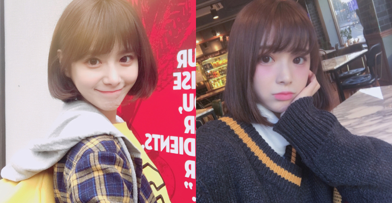 【蜗牛棋牌】連證件照都美翻！超萌「犬系妹子」顏值太高　水汪汪大眼電力超強！