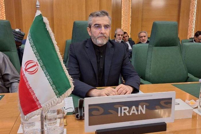 【蜗牛棋牌】伊朗代理外长:以色列刺杀哈尼亚侵犯伊朗主权 严重违反国际法