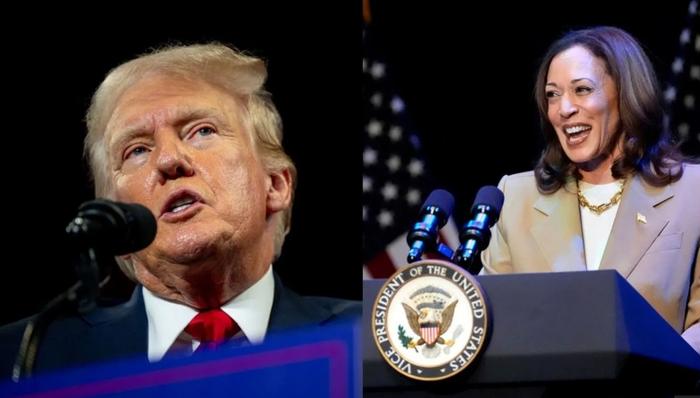 【蜗牛棋牌】特朗普和哈里斯同意于9月10日进行辩论
