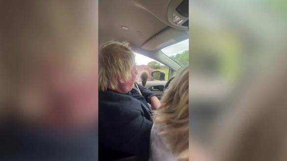 【蜗牛棋牌】英媒：英国前首相约翰逊与家人赴美旅游时遭鸵鸟“袭击”，被啄后当场爆粗口