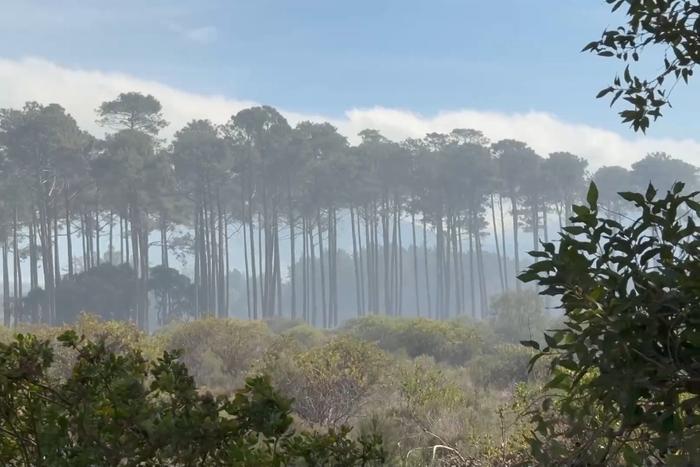 南非开普敦桌山公园山火已被控制 警告仍未解除