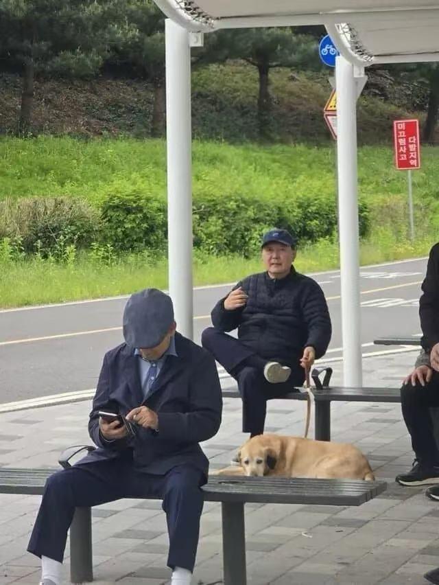韩媒曝光画面：尹锡悦被拍到在公园“悠闲遛狗”，身边带着3名保镖