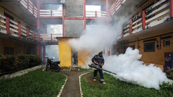 世卫专家提醒防范基孔肯雅热暴发