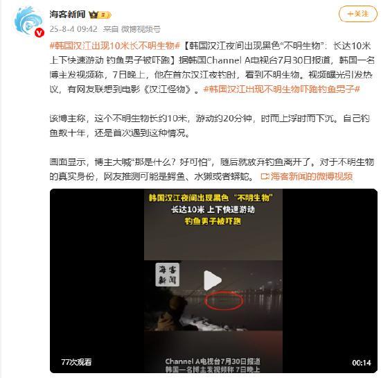 韩专家回应汉江疑出现不明巨型生物