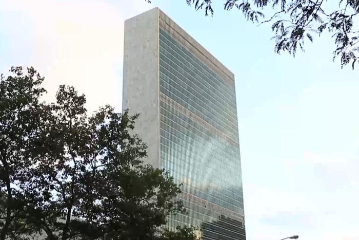 安理会强烈反对苏丹快速支援部队建立“平行政府”