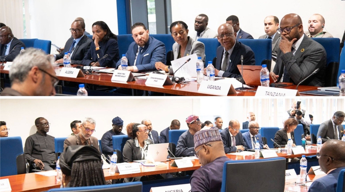 非盟召开紧急会议 商讨马达加斯加局势