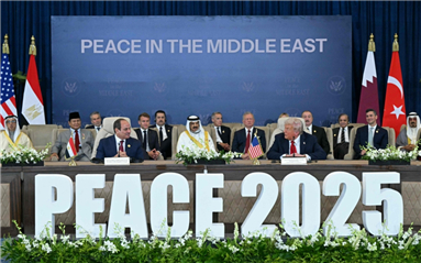 “和平峰会”闭幕 埃及发表声明重审支持“两国方案”