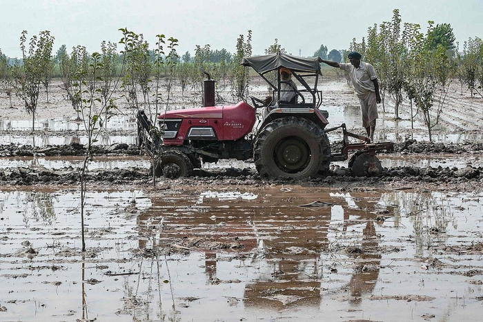 【蜗牛棋牌】财经观察:农民困境削弱莫迪对美贸易谈判筹码
