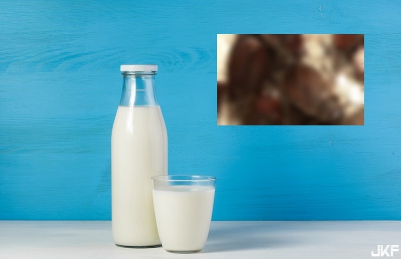 【蜗牛棋牌】超營養「蟑螂奶」！能量是牛奶3倍 你敢喝嗎？