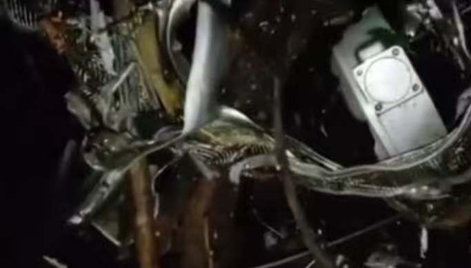 【蜗牛棋牌】一架医疗专机在印度贾坎德邦坠毁 机上载有7人