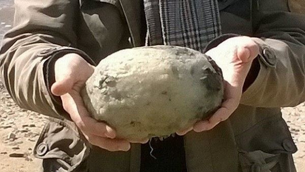 【蜗牛棋牌】這個嘔吐物超金貴！價值上億春藥原料被他拾獲（送禮自用兩相宜～